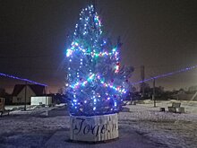 В Мичуринском прислушались к жалобам на новогоднюю елку