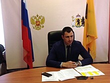 Объемы лесовосстановления в регионе увеличились в этом году на 39 процентов