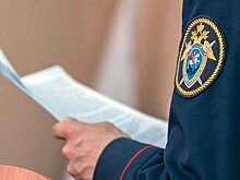 СК возбудил дело после нападения ротвейлера на мать с ребенком в Екатеринбурге