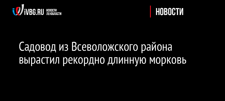 Садовод из Всеволожского района вырастил рекордно длинную морковь