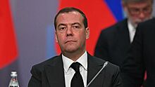 Медведев освободил Владимира Логинова от должности замглавы Минприроды