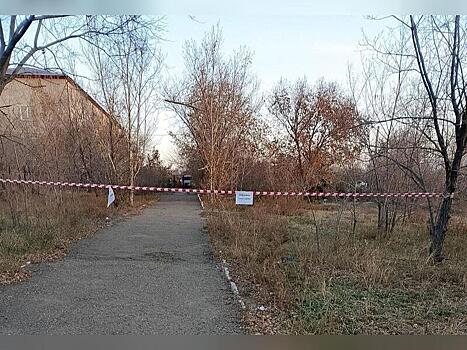 Власти пытаются бороться с бездомной собакой при помощи оградительной ленты