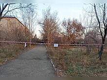 Власти пытаются бороться с бездомной собакой при помощи оградительной ленты