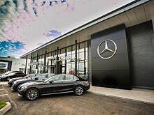 Крупнейшие автодилеры Петербурга наращивают долю рынка