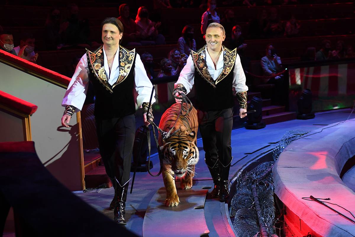 Путин наградил братьев Запашных орденом