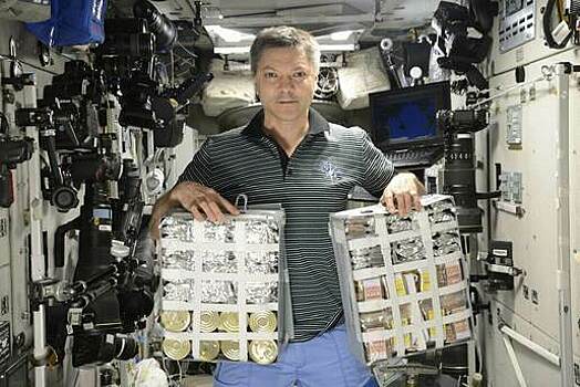 Шоколад, кальмары и сушёные водоросли: какие продукты окажутся на новогоднем столе у космонавтов