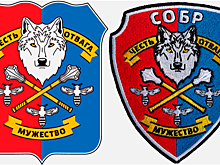 Волк, пчелы и палицы: «Студия Лебедева» нарисовала эмблему тамбовской Росгвардии
