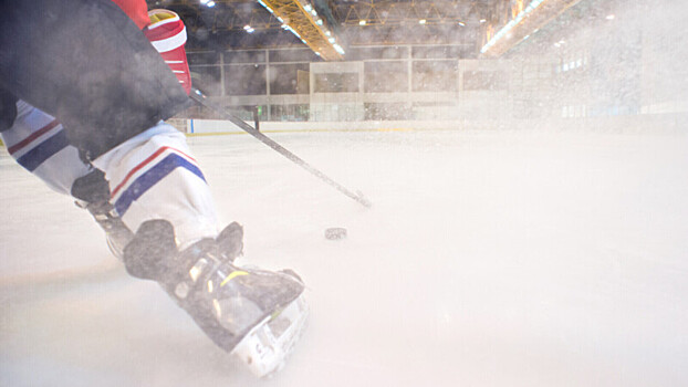 Две голевые передачи Наместникова помогли «Виннипегу» победить «Анахайм» в НХЛ