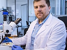 НауКавказ. Материаловед из «Аула профессоров»