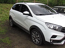 В Армавире на 5 суток арестовали водителя, проехавшего по клумбам в парке