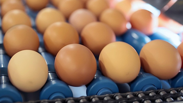 Почему в России подорожали яйца, куда они пропали в магазинах