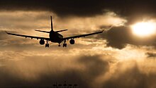 Пассажирка склоняла мужчин к сексу на борту самолета