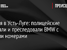 Погоня в Усть-Луге: полицейские стреляли и преследовали BMW с чужими номерами