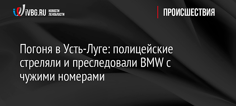 Погоня в Усть-Луге: полицейские стреляли и преследовали BMW с чужими номерами