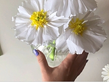 Музеи Москвы подготовили программу ко Дню любви, семьи и верности