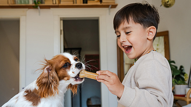 Названы лучшие и худшие породы собак для семей с детьми