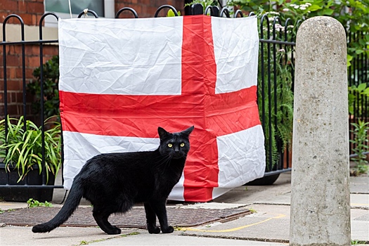 "Брюгге" определился с главным тренером команды