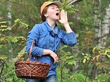 Как выжить в лесу, если вы заблудились