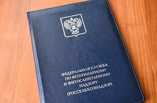 Во «Внуково» задержали несколько партий опасной молочной продукции из Таджикистана