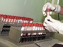 Россиянка стала третьей женой многоженца и заразилась ВИЧ