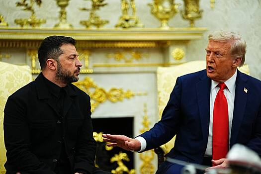 На Украине раскрыли замысел Зеленского перед встречей с Трампом