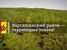 В зауральские территории опережающего развития не идёт крупный бизнес
