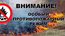 В Петрозаводске объявлен особый противопожарный режим