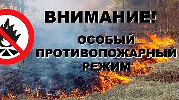 В Петрозаводске объявлен особый противопожарный режим