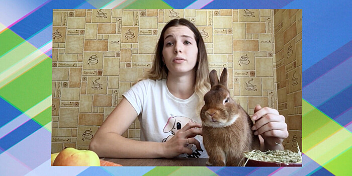 Ушастый символ года: в чем секрет популярности кроликов как домашних питомцев?
