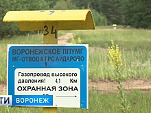 Газовики объяснили необходимость сноса конюшни у газопровода под Воронежем
