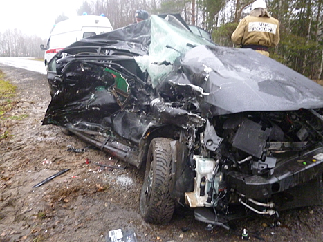 В страшной аварии под Нижний Новгородом погибла двухлетняя девочка