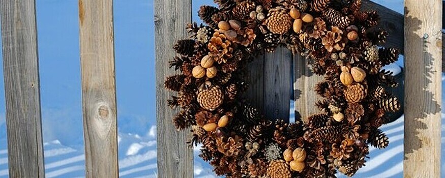 В Кинешме 10 июня состоится семейный фестиваль «Вся фишка в шишке»