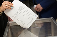 Проблемы из-за фамилии: в Смоленской области предложили не допускать до выборов Александра Зеленского