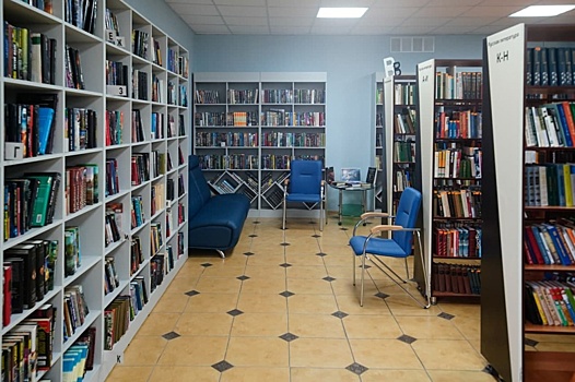 В библиотеках Отрадного подходит к концу проект «Списанные книги»