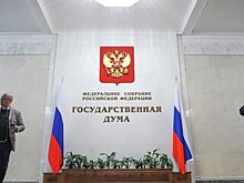 В Госдуме предложили ввести налоговый вычет на услуги психологов