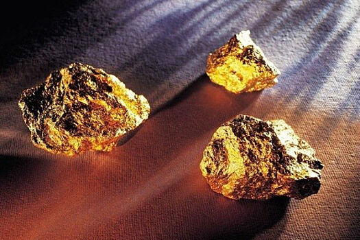 Золотая лихорадка в Австралии: рекордные месторождения золота принесли 10 миллионов долларов за 4 дня