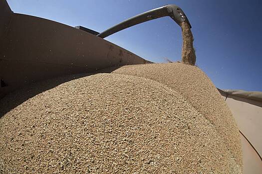 Правительство установило квоту на экспорт российского зерна
