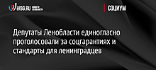 Депутаты Ленобласти единогласно проголосовали за соцгарантиях и стандарты для ленинградцев