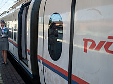 Скоростную железную дорогу Санкт-Петербург - Гамбург оплатят инвесторы