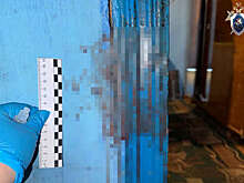 На Алтае задержали пенсионера, забившего приятеля поленом