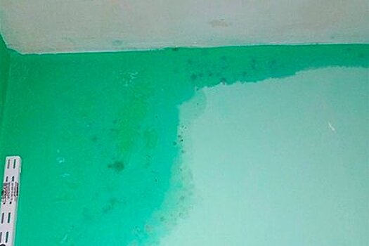 Залитая водой многоэтажка в деревне покрылась плесенью из-за дыры в крыше