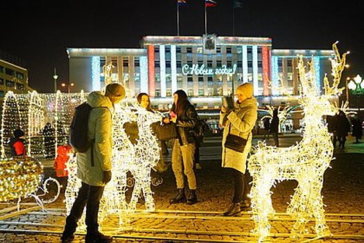 Российский город отказался от новогодней елки ради поддержки мобилизованных