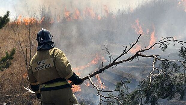 В Забайкалье потушили два крупных природных пожара