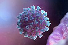 Минздрав: инкубационный период коронавируса может превышать две недели