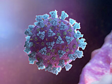 Минздрав: инкубационный период коронавируса может превышать две недели