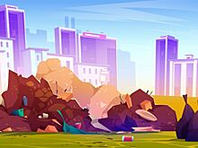 В результате проверки установлена личность водителя, который выгрузил мусор на проезжую часть