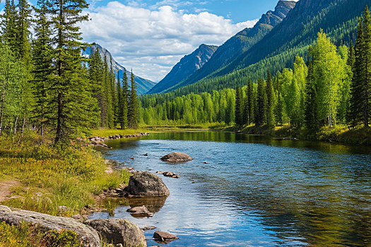 От модульных отелей до событийного туризма: какие меры поддержки доступны бизнесу в Красноярском крае