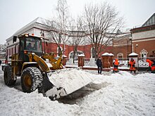 «Снежный картель» в первом полугодии 2022 года уже поделил больше 8 млрд рублей петербургского бюджета