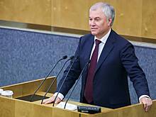 Володин оценил судьбу бакалавриата в России