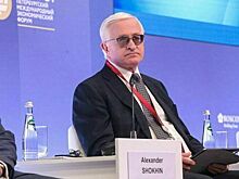 Шохин: Заморозки отношений с иностранными компаниями нет, как и потепления